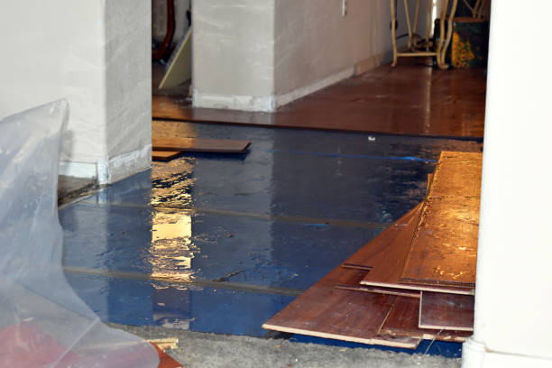 Professional Sewage Cleanup technician working in Plato, MN